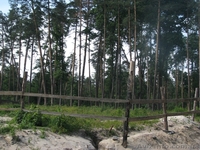 Земля Пуща Водица Оболонь - <ro>Изображение</ro><ru>Изображение</ru> #2, <ru>Объявление</ru> #1054014