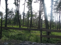 Земля Пуща Водица Оболонь - <ro>Изображение</ro><ru>Изображение</ru> #5, <ru>Объявление</ru> #1054014