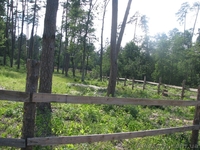 Земля Пуща Водица Оболонь - <ro>Изображение</ro><ru>Изображение</ru> #8, <ru>Объявление</ru> #1054014