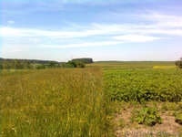 Продам отличный участок на берегу реки рядом с озером  - <ro>Изображение</ro><ru>Изображение</ru> #3, <ru>Объявление</ru> #1105300