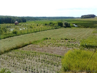 Продам отличный участок на берегу реки рядом с озером  - <ro>Изображение</ro><ru>Изображение</ru> #1, <ru>Объявление</ru> #1105300