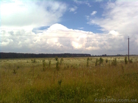 Продам хороший участок в 60 км от Киева за символическую цену - <ro>Изображение</ro><ru>Изображение</ru> #1, <ru>Объявление</ru> #1105304