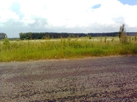 Продам хороший участок в 60 км от Киева за символическую цену - <ro>Изображение</ro><ru>Изображение</ru> #3, <ru>Объявление</ru> #1105304