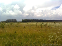 Продам хороший участок в 60 км от Киева за символическую цену - <ro>Изображение</ro><ru>Изображение</ru> #4, <ru>Объявление</ru> #1105304