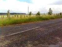 Продам хороший участок в 60 км от Киева за символическую цену - <ro>Изображение</ro><ru>Изображение</ru> #5, <ru>Объявление</ru> #1105304