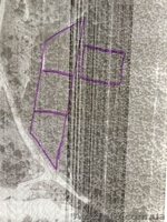 Продам 4 участка в сосновом лесу по 20 сот в с. Зозули, Васильковский район - <ro>Изображение</ro><ru>Изображение</ru> #6, <ru>Объявление</ru> #1118074