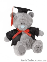 Прокат и продажа мантий,Мишек Тедди и обложек для дипломов - <ro>Изображение</ro><ru>Изображение</ru> #3, <ru>Объявление</ru> #1132343