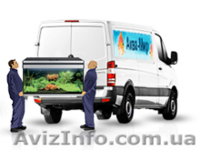 Перевозка аквариумов и террариумов в Киеве и области - <ro>Изображение</ro><ru>Изображение</ru> #3, <ru>Объявление</ru> #1144850