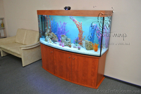 Изготовление аквариумов и террариумов из стекла по Вашим размерам - <ro>Изображение</ro><ru>Изображение</ru> #4, <ru>Объявление</ru> #1144826