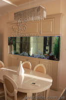 Изготовление аквариумов и террариумов из стекла по Вашим размерам - <ro>Изображение</ro><ru>Изображение</ru> #9, <ru>Объявление</ru> #1144826