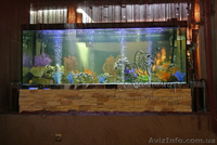 Перевозка аквариумов и террариумов в Киеве и области - <ro>Изображение</ro><ru>Изображение</ru> #1, <ru>Объявление</ru> #1144850