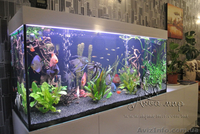 Изготовление аквариумов и террариумов из стекла по Вашим размерам - <ro>Изображение</ro><ru>Изображение</ru> #2, <ru>Объявление</ru> #1144826