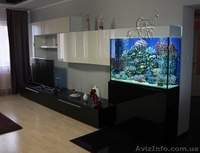 Аквариумы  «под ключ» в Киеве - <ro>Изображение</ro><ru>Изображение</ru> #7, <ru>Объявление</ru> #1144829