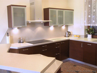 Кухня под заказ с ДСП и МДФ по доступным ценам  - <ro>Изображение</ro><ru>Изображение</ru> #10, <ru>Объявление</ru> #1150460