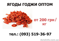 Ягоды годжи оптом . Доставка по всей Украине  - <ro>Изображение</ro><ru>Изображение</ru> #1, <ru>Объявление</ru> #1149146