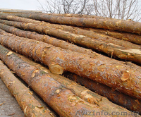 Феликс Брус в Киеве - <ro>Изображение</ro><ru>Изображение</ru> #5, <ru>Объявление</ru> #1165525