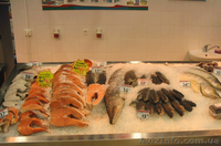 Торговые Аквариумы Витрина Рыба на льду 0984576969 - <ro>Изображение</ro><ru>Изображение</ru> #2, <ru>Объявление</ru> #1160581