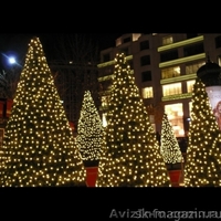 Новогодние шторы   2х3 метра ,  украшение деревьев гирляндами . - <ro>Изображение</ro><ru>Изображение</ru> #5, <ru>Объявление</ru> #1159705