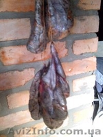 Бобровая струя (настойка), 500 мл. - <ro>Изображение</ro><ru>Изображение</ru> #2, <ru>Объявление</ru> #1160615