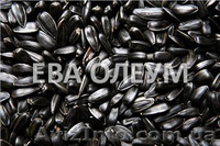 Услуги по сушке зерновых и бобовых культур - <ro>Изображение</ro><ru>Изображение</ru> #2, <ru>Объявление</ru> #1171646