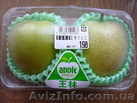 Термоусадочная упаковочная машина мод. RP 55 - <ro>Изображение</ro><ru>Изображение</ru> #5, <ru>Объявление</ru> #1176756