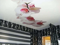 Фотопечать на натяжных потолках в Киеве и области. - <ro>Изображение</ro><ru>Изображение</ru> #2, <ru>Объявление</ru> #1198182