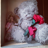 ПЛЮШЕВЫЕ КОШЕЧКИ - <ro>Изображение</ro><ru>Изображение</ru> #2, <ru>Объявление</ru> #1186459