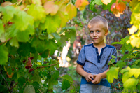 Фотограф (дети,праздники,свадьба,студия) - <ro>Изображение</ro><ru>Изображение</ru> #3, <ru>Объявление</ru> #1186950