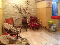 Дом в Шевченковском районе, 5 минут от метро Нивки, 300м. 399000 без Комиссии!  - <ro>Изображение</ro><ru>Изображение</ru> #4, <ru>Объявление</ru> #1202729