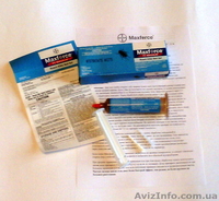 Maxforce Magnum Американский гель от тараканов, прусаков от дезинфекторов  - <ro>Изображение</ro><ru>Изображение</ru> #2, <ru>Объявление</ru> #1206499