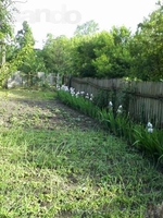 Дом, квартира (63,8 м2) в с. Софиевка, земельный участ 0,19 га - <ro>Изображение</ro><ru>Изображение</ru> #6, <ru>Объявление</ru> #1225744