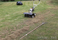 Вычесывание газона, аэрация газона - <ro>Изображение</ro><ru>Изображение</ru> #1, <ru>Объявление</ru> #855792