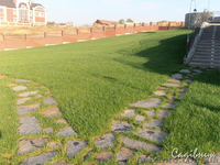 Устройство газона,посевной и рулонный газон  - <ro>Изображение</ro><ru>Изображение</ru> #1, <ru>Объявление</ru> #420605