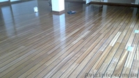 Паркетные работы Цыклевка паркета. Деревяных полов. Паркетошлифовка  - <ro>Изображение</ro><ru>Изображение</ru> #10, <ru>Объявление</ru> #1225747