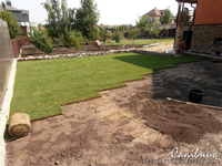 Устройство газона,посевной и рулонный газон  - <ro>Изображение</ro><ru>Изображение</ru> #3, <ru>Объявление</ru> #420605