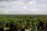 Продам 3-ную квартиру - <ro>Изображение</ro><ru>Изображение</ru> #4, <ru>Объявление</ru> #1216382