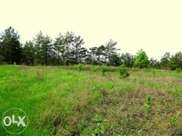 Продам участок с красивым видом на Днепр - <ro>Изображение</ro><ru>Изображение</ru> #2, <ru>Объявление</ru> #1250084