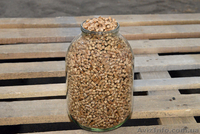 Пеллета топливная продам. Экспорт. - <ro>Изображение</ro><ru>Изображение</ru> #4, <ru>Объявление</ru> #1255197