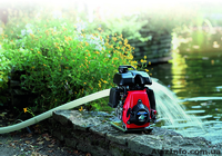 Мотопомпы Хонда - <ro>Изображение</ro><ru>Изображение</ru> #4, <ru>Объявление</ru> #1253320