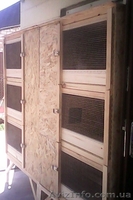 Продам - изготовлю клетки для кроликов - <ro>Изображение</ro><ru>Изображение</ru> #1, <ru>Объявление</ru> #1263746