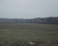 Участок под стр.дом рядом ЛЕС,ОЗЕРО!! Бровары,c.Русанов  45км от Киева - <ro>Изображение</ro><ru>Изображение</ru> #1, <ru>Объявление</ru> #1271917