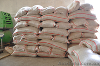 Продаём экологически чистую фасоль  из  Киргизии!!! - <ro>Изображение</ro><ru>Изображение</ru> #1, <ru>Объявление</ru> #1274526