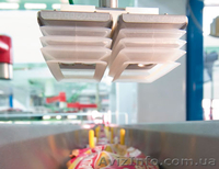 Вакуумные присоски FIPA для переноса, подъема , перемещения  - <ro>Изображение</ro><ru>Изображение</ru> #2, <ru>Объявление</ru> #199937