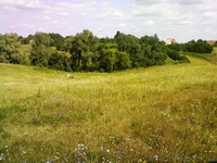 Продам участок 22 сотки, Большая Солтановка - <ro>Изображение</ro><ru>Изображение</ru> #1, <ru>Объявление</ru> #1271807