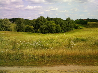 Продам участок 22 сотки, Большая Солтановка - <ro>Изображение</ro><ru>Изображение</ru> #3, <ru>Объявление</ru> #1271807