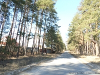 Продам участок в с.Цибли - <ro>Изображение</ro><ru>Изображение</ru> #1, <ru>Объявление</ru> #1278153