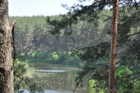 Активный семейный отдых на берегу Десны - <ro>Изображение</ro><ru>Изображение</ru> #5, <ru>Объявление</ru> #1292366