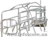 продаю станки для осеменения и опороса свиноматок - <ro>Изображение</ro><ru>Изображение</ru> #3, <ru>Объявление</ru> #1293301