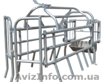 продаю станки для осеменения и опороса свиноматок - <ro>Изображение</ro><ru>Изображение</ru> #5, <ru>Объявление</ru> #1293301