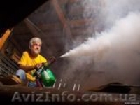 Дезинсекция помещений газом. Уничтожение насекомых - <ro>Изображение</ro><ru>Изображение</ru> #2, <ru>Объявление</ru> #1300691